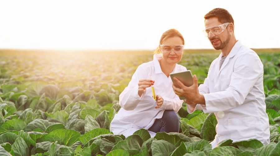 ZİRAAT MÜHENDİSLİĞİ Resim