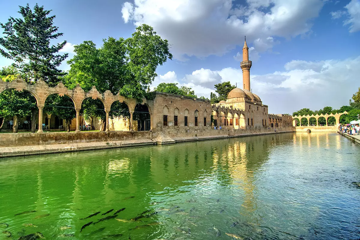 ŞANLIURFA ŞUBE Resim
